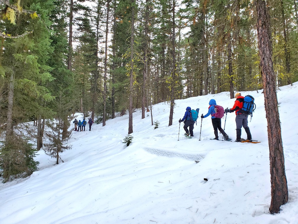 Swauk Campground Snowshoe — Washington Trails Association